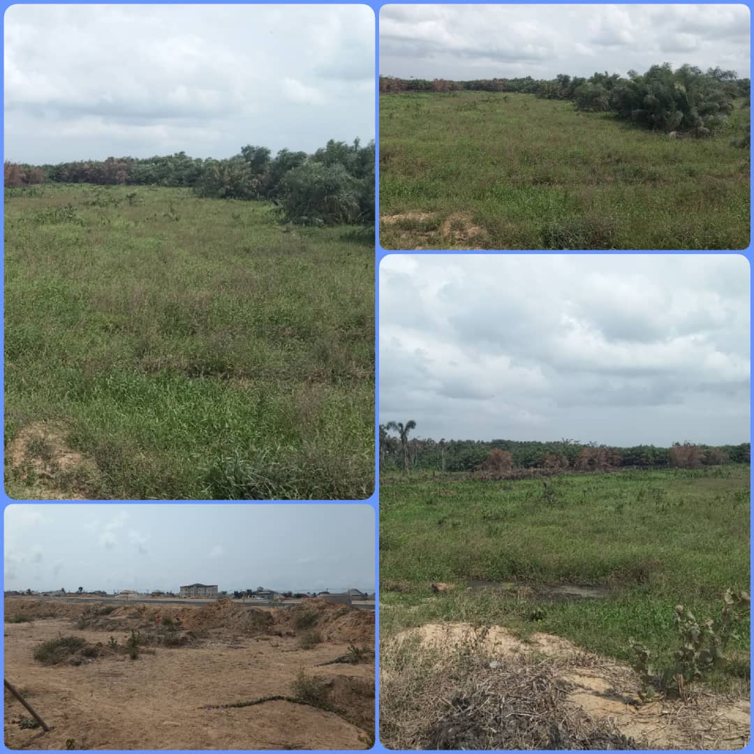 Land for Sale
